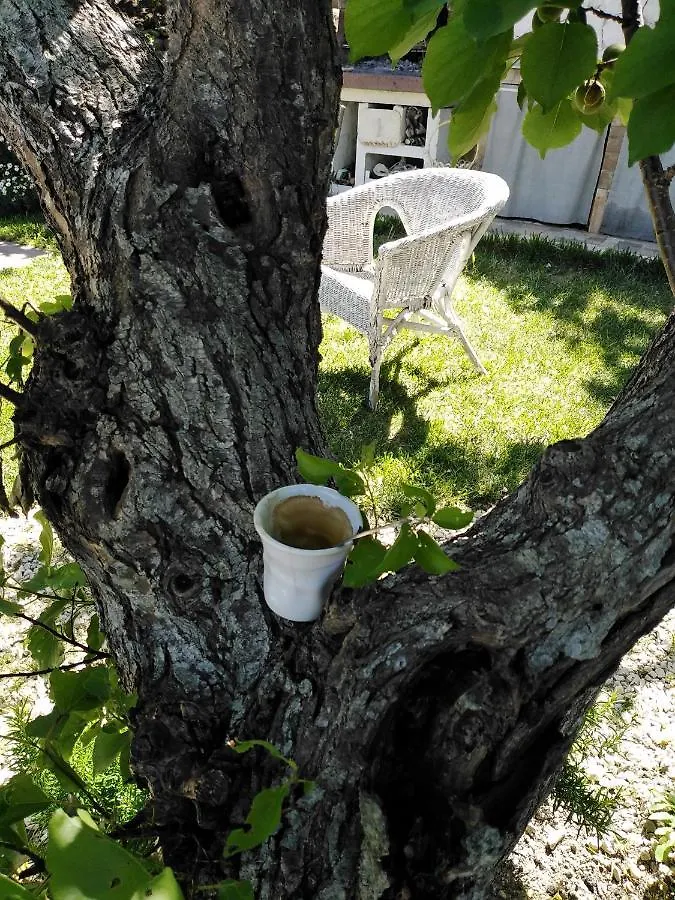 Nonna Dora Bed & Breakfast Muros Italy